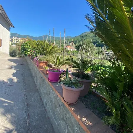 Palipano House