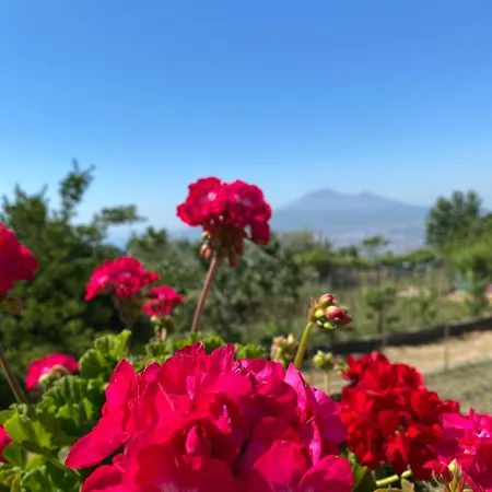 Holiday home Palipano House *